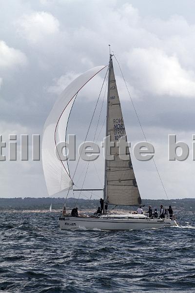 ORCi 519.jpg